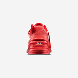 Штангетки TYR L-2 Lifter